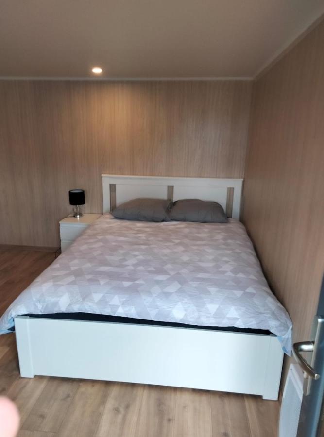 Duplex Atypique En Bois Entre Ville Et Verdures La Chapelle-Saint-Mesmin Kültér fotó